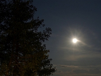 57604RoCrLeUsm - Moon and reflection on Sturgeon Lake.jpg